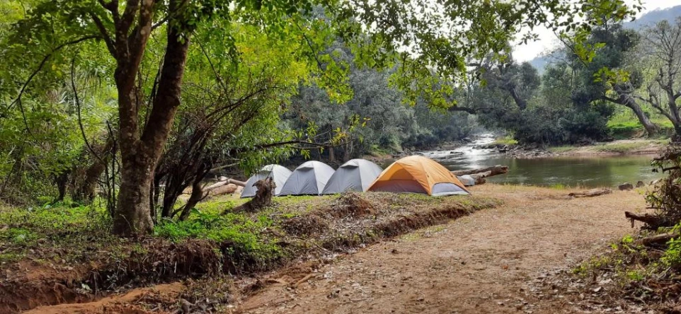 Damdama Lake camps & packages