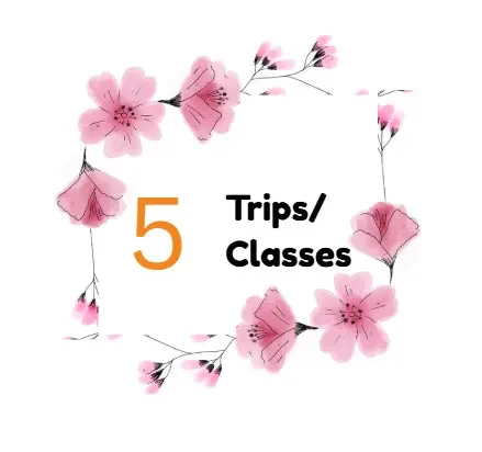 [Avail 5 Trips/Classes.] ​Economy Flex